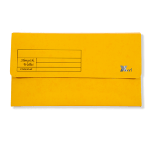 Pocket File