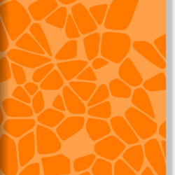 Neo Notebook