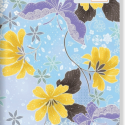Cahier Brochures