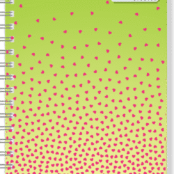 PROFESSIONAL NOTEBOOK