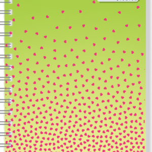 PROFESSIONAL NOTEBOOK