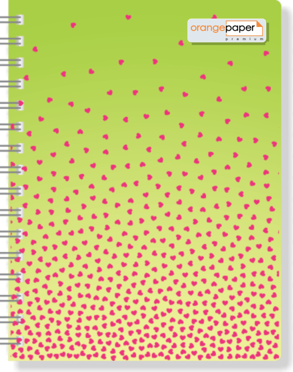 PROFESSIONAL NOTEBOOK
