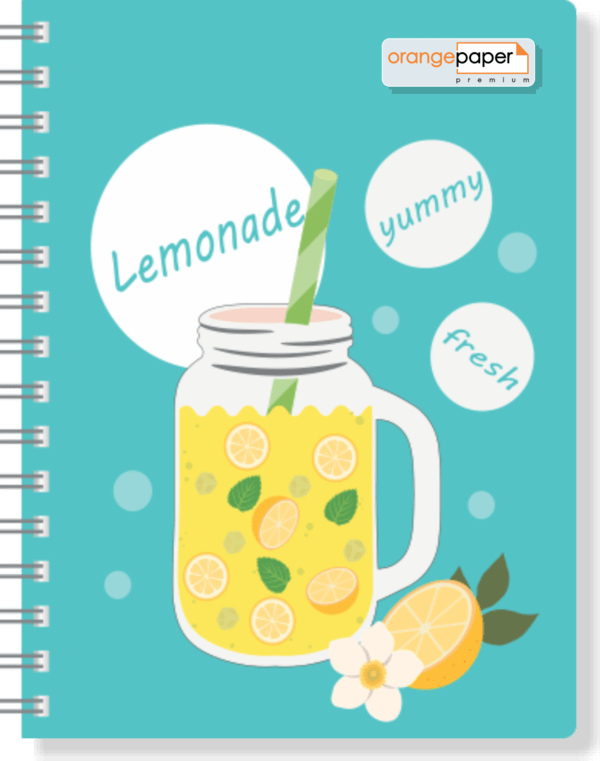 PROFESSIONAL NOTEBOOK - Image 2