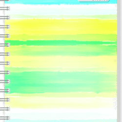 PROFESSIONAL NOTEBOOK