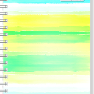 PROFESSIONAL NOTEBOOK