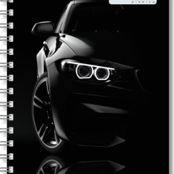 PROFESSIONAL NOTEBOOK