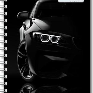 PROFESSIONAL NOTEBOOK